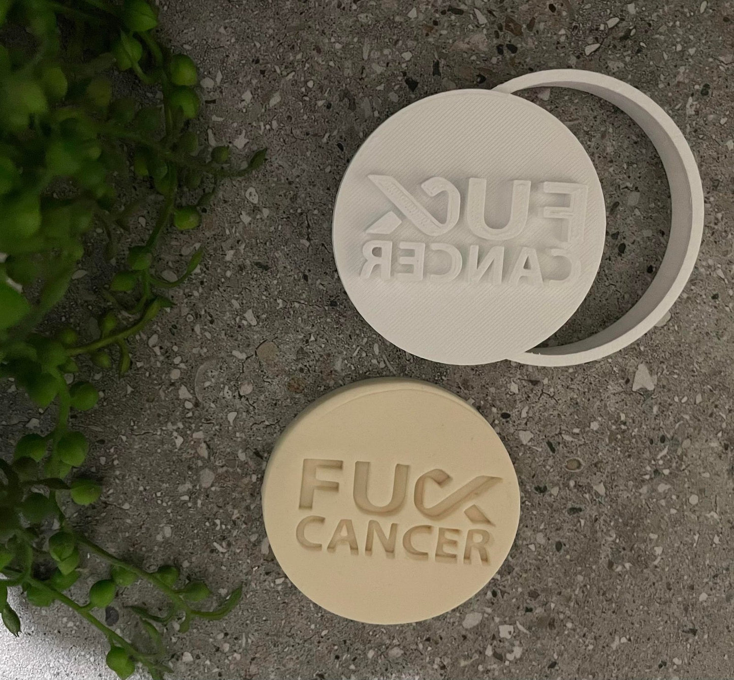 Fuc* Cancer on a circle disk