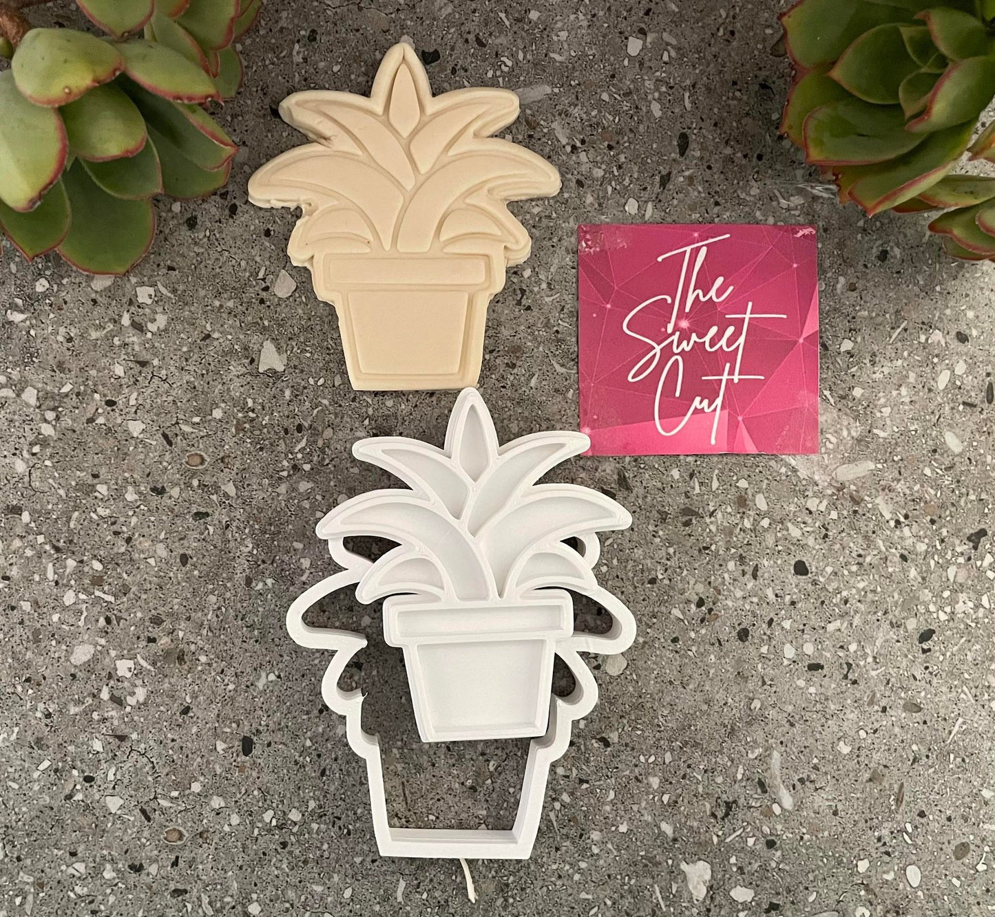 Succulent Stamp and Cutter