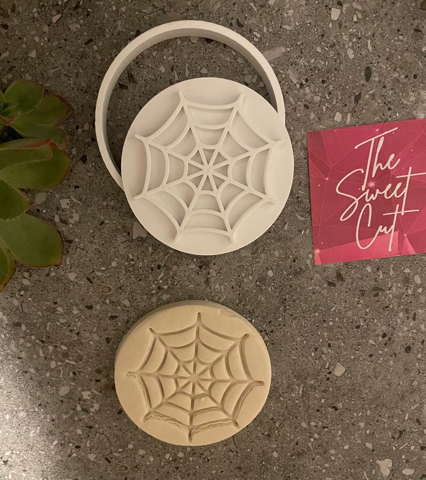 Spider web on a circle stamp