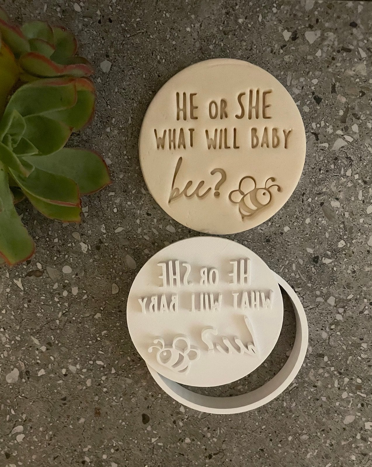 He or she what will baby bee?