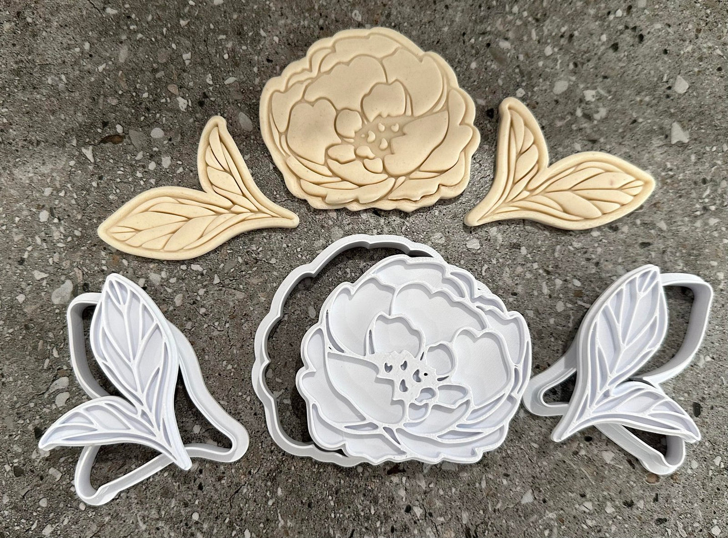 Peony and leaves Stamp and cutters