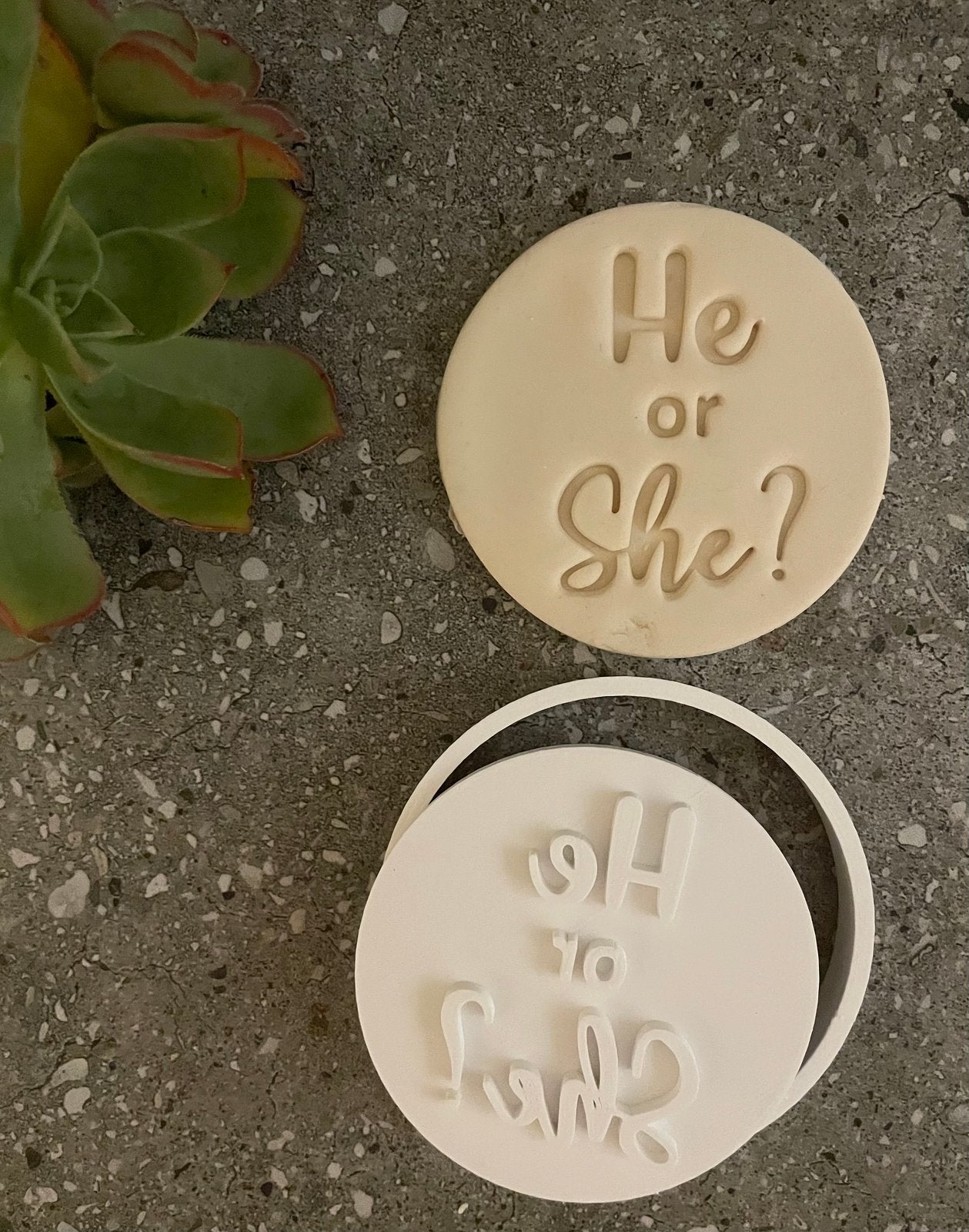 He or she