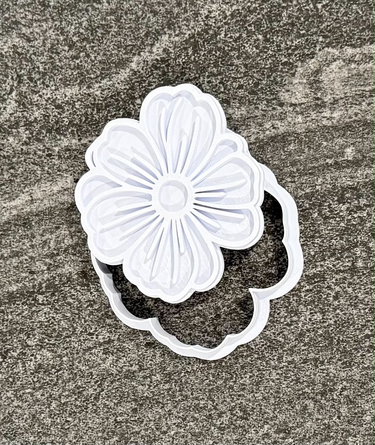 Daisy Flower open