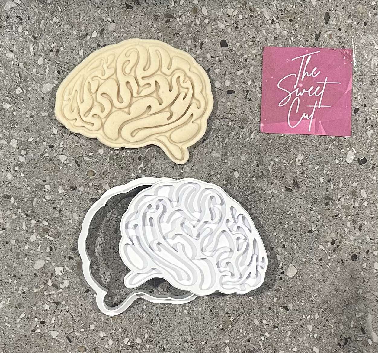 Brain stamp and cutter